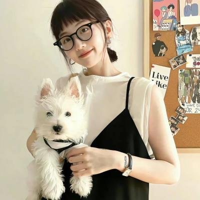 王牌父女 封面